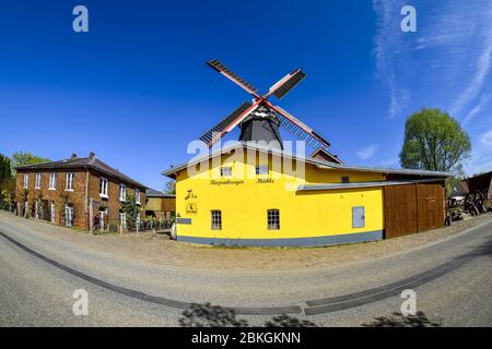 Riepe Burger Mill Boreas a Kirchwerder, quattro e paludi, Amburgo, Germania, Europa / Riepenburger Mühle Boreas a Kirchwerder, Vier- und Marschl Foto Stock