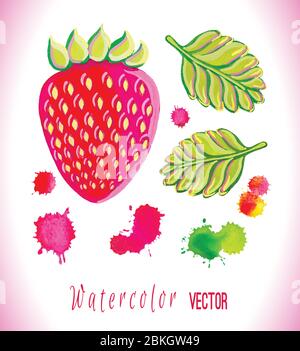 Watercolor fragola isolato su sfondo bianco. Illustrazione Vettoriale