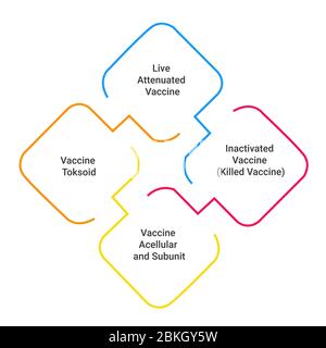 la classificazione di un vaccino basato sull'antigene in esso contenuto. Illustrazione Vettoriale
