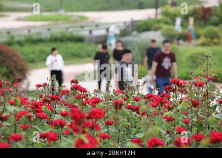 Huaian, provincia cinese di Jiangsu. 4 maggio 2020. I turisti visitano un parco di zone umide nella città di Jiangba, nel distretto di Hongze, nella città di Huaian, nella provincia di Jiangsu, nella Cina orientale, il 4 maggio 2020. Credit: WAN Zhen/Xinhua/Alamy Live News Foto Stock