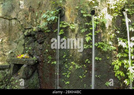 Sorgenti d'acqua sacra nella Valle Pakerisan presso il complesso di sepoltura di Tampaksiring. Gunung Kawi, Bali, Indonesia. Sacrifici agli dei sull'altare. Io Foto Stock
