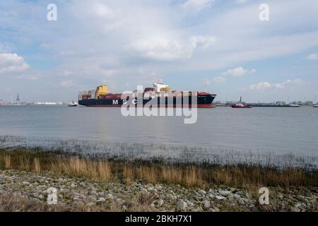 Doel, Belgio, 07 marzo 2020. La nave UNION PANDA hanno scortato la nave container MSC Nitaya B in primo piano si può vedere la costa Foto Stock