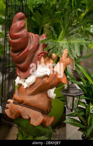 Carino nana peeking in un giardino.. Decorazione dello gnome del giardino spionante contro uno sfondo sfocato. Elfo divertente in giardino. Tom che pepisce. Foto Stock