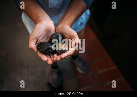 ritratto di bambino che tiene le rocce nelle loro mani Foto Stock