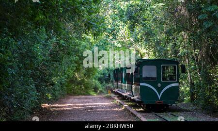 Treno passeggeri al Parco Nazionale di Iguacu in Argentina Foto Stock