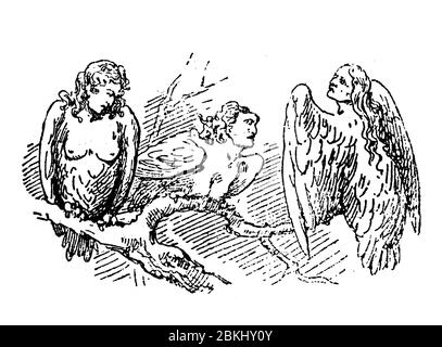 Tre Arpie, creature semimumane con teste di donna e mezzo uccello con ali e artigli, impersonazione dei venti di tempesta nella mitologia greca e romana Foto Stock