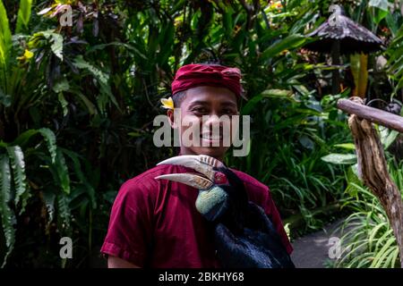 Ubud, Bali / Indonesia - 8 febbraio 2020: Bird sitter nel Museo di Antonio Blanco House, Antonio Blanco è famoso artista spagnolo Foto Stock