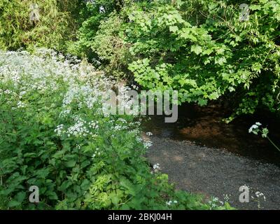 La piscina sul fiume, nel Kent e nel sud-est di Londra, Inghilterra Foto Stock