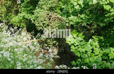 La piscina sul fiume, nel Kent e nel sud-est di Londra, Inghilterra Foto Stock