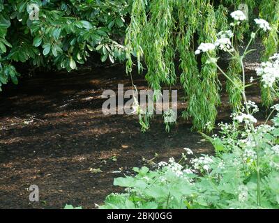 La piscina sul fiume, nel Kent e nel sud-est di Londra, Inghilterra Foto Stock