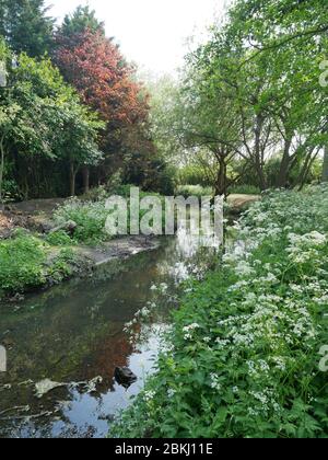 La piscina sul fiume, nel Kent e nel sud-est di Londra, Inghilterra Foto Stock