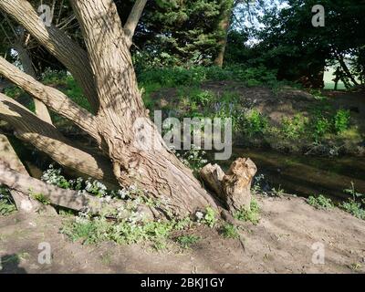 La piscina sul fiume, nel Kent e nel sud-est di Londra, Inghilterra Foto Stock