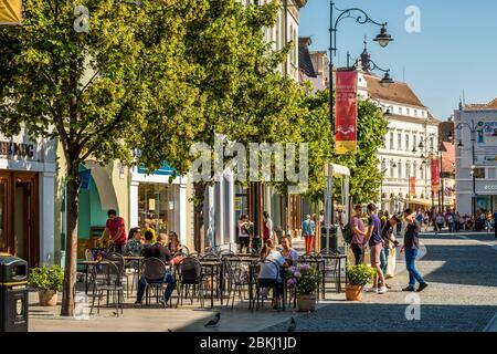 Romania, Sibiu judet, Transilvania, Carpazi, Sibiu, la città vecchia, caffè terrazza Foto Stock