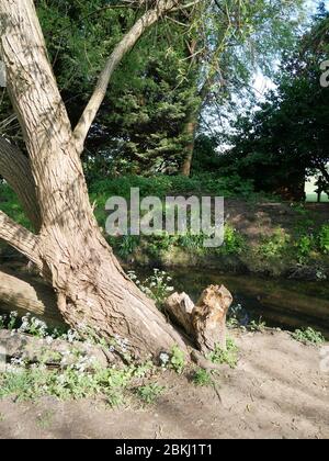 La piscina sul fiume, nel Kent e nel sud-est di Londra, Inghilterra Foto Stock