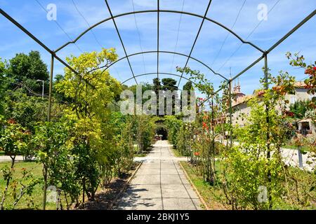 Francia, Alpes Maritimes, Nizza, Cimiez Hill District, parco del Monastero di Cimiez e la Chiesa di nostra Signora dell'Assunzione Foto Stock