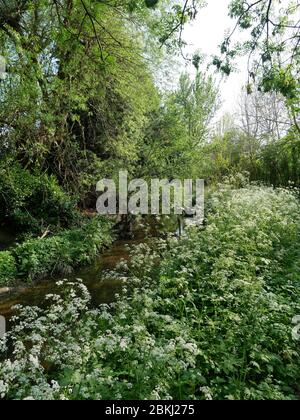 La piscina sul fiume, nel Kent e nel sud-est di Londra, Inghilterra Foto Stock