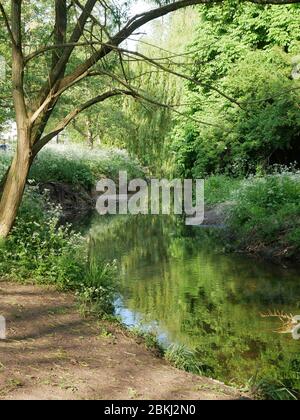 La piscina sul fiume, nel Kent e nel sud-est di Londra, Inghilterra Foto Stock