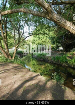 La piscina sul fiume, nel Kent e nel sud-est di Londra, Inghilterra Foto Stock