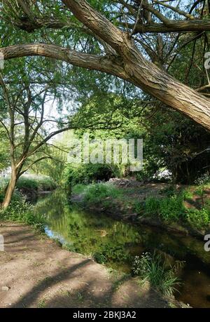 La piscina sul fiume, nel Kent e nel sud-est di Londra, Inghilterra Foto Stock