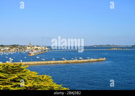 Francia, Finistere, Iroise Sea, Roscoff con la torre dell'orologio (1701) di Notre-Dame de Croaz Batz chiesa e imbarco porta per l'isola di Batz Foto Stock