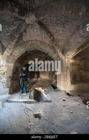 Francia, Gard, Beaucaire, abbazia troglodita di Saint-Roman, vestigia di un monastero, fine del 5 ° secolo, cappella Foto Stock