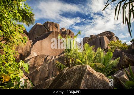 Seychelles, La Digue Island, Anse Source d'Argent beach Foto Stock
