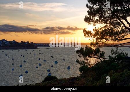 Francia, Finisterre, Morlaix bay, Carantec Foto Stock