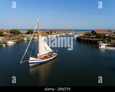 Francia, Gironde, Bassin d'Arcachon, Gujan-Mestras, porto di arros ostriche, l'Argo II, barca a vela tradizionale sardina nella baia di Arcachon Foto Stock