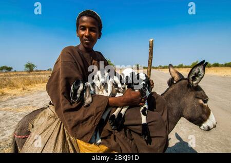 Sudan, sud Kordofan, Nuba Hills, Baggara pastore e i suoi figli neonati Foto Stock