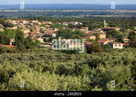Francia, Bouches du Rhone, Parco Naturale Regionale delle Alpilles, Aureille Foto Stock