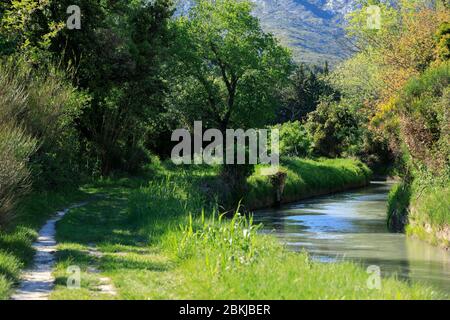 Francia, Bouches du Rhone, Parco Naturale Regionale delle Alpilles, EYGUIERES, Vallee des Baux Canal Foto Stock