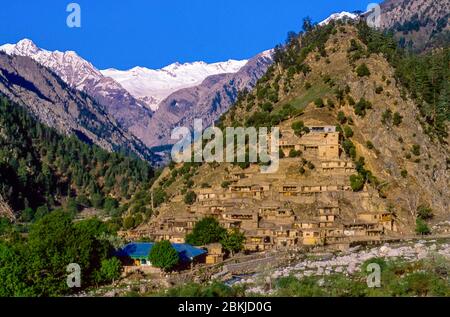 Pakistan, massiccio indù di Kouch, provincia di Chitral, confine con l'Afghanistan, villaggi e valli-rifugio del Kalash o Kalasha, un popolo indù-europeo di religione politeistica, minacciato, come l'ultima tribù non-musulmana del Pakistan, la valle di Bumburet Foto Stock