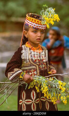 Pakistan, massiccio indù di Kouch, provincia di Chitral, confine con l'Afghanistan, villaggi e rifugi-valli del Kalash o Kalasha, un popolo indù-europeo di religione politeistica, minacciato, come l'ultima tribù non-musulmana del Pakistan, preludio a Joshi, donne e fanciulla raccogliere i fiori che adorneranno case e ornamenti Foto Stock