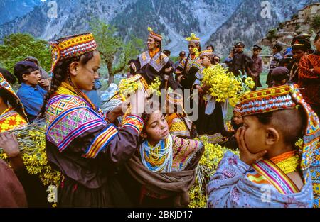 Pakistan, massiccio indù di Kouch, provincia di Chitral, confine con l'Afghanistan, villaggi e rifugi-valli del Kalash o Kalasha, un popolo indù-europeo di religione politeistica, minacciato, come l'ultima tribù non-musulmana del Pakistan, preludio a Joshi, le donne raccolgono i fiori che adorneranno le case e gli ornamenti Foto Stock