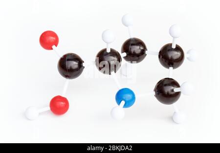 Modello in plastica a sfera o a bastoncino di una molecola Proline o L-Proline (Pro) su sfondo bianco. Prolina è uno degli amminoacidi proteinogenici. Foto Stock