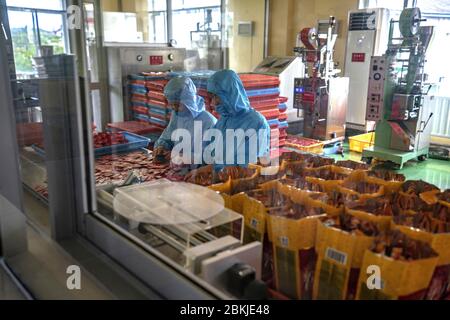 Corea del Nord, Kaesong, Kaesong Ginseng Processing Factory Foto Stock