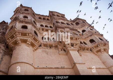 India, Rajasthan, Jodhpur, vista ad angolo basso dal piede del Mehrangarh forte Foto Stock