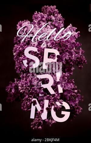 Ciao, biglietto di auguri di primavera con un bel bouquet lilla viola in chiave bassa. Primavera stagionale sfondo festivo. Foto Stock