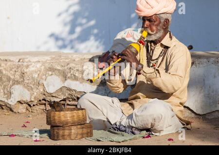 India, Rajasthan, Pushkar, incantatore di serpente e cobra nel cestino Foto Stock