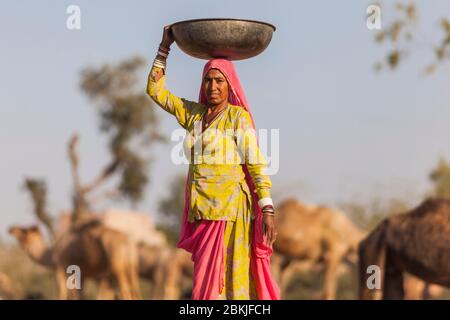 India, Rajasthan, Nagaur, fiera del bestiame, donna che porta un bacino sulla sua testa Foto Stock