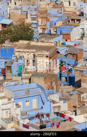 India, Rajasthan, Jodhpur, collina di Pachetia, vista elevata sui tetti blu della città Foto Stock
