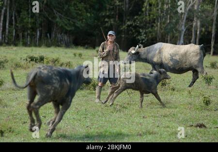 Francia, Guiana, Cocoa, ritratto di uno degli ultimi veterani Hmong, Moise Moua Txong Fong, 97 anni in casa sua Foto Stock