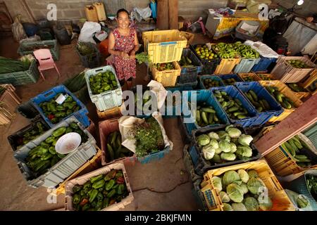 Francia, Guiana, Javouhey, Hmong mercato tipico Foto Stock