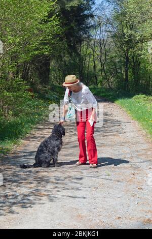 Europa, Lussemburgo, Insenborn, attraente donna anziana a piedi il suo cane d'acqua portoghese Foto Stock