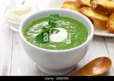 zuppa fatta in casa di crescione, cucina britannica Foto Stock