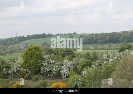 Paesaggio inglese Foto Stock