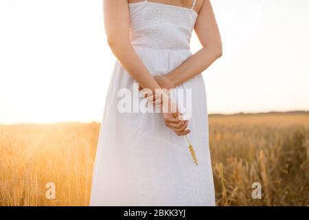 donna su campo di cereali che tiene lo spickelet di grano maturo Foto Stock