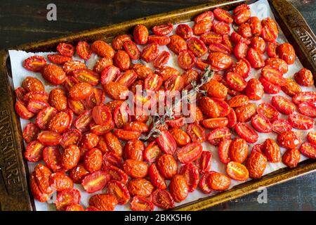 Pomodori arrostiti su un piatto: Pomodori d'uva arrostiti a bassa velocità e un rametto di origano fresco su un piatto Foto Stock