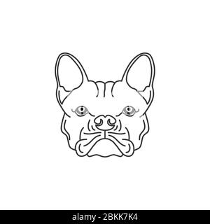 Disegno di disegno Bulldog / colorazione Nero Bianco illustrazione logo Illustrazione Vettoriale