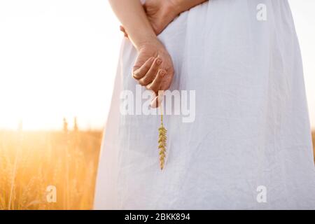 donna su campo di cereali che tiene lo spickelet di grano maturo Foto Stock